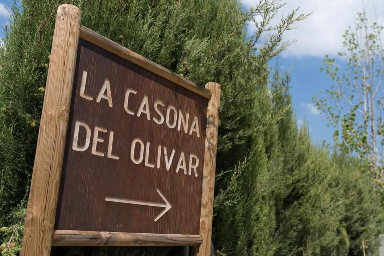 Casona Del Olivar Villa Priego de Córdoba Exteriör bild